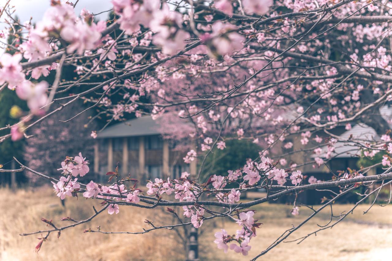 Hotel Kaze No Hibiki Nikko Zewnętrze zdjęcie